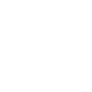Icon1