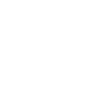 Icon2