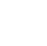 Icon4